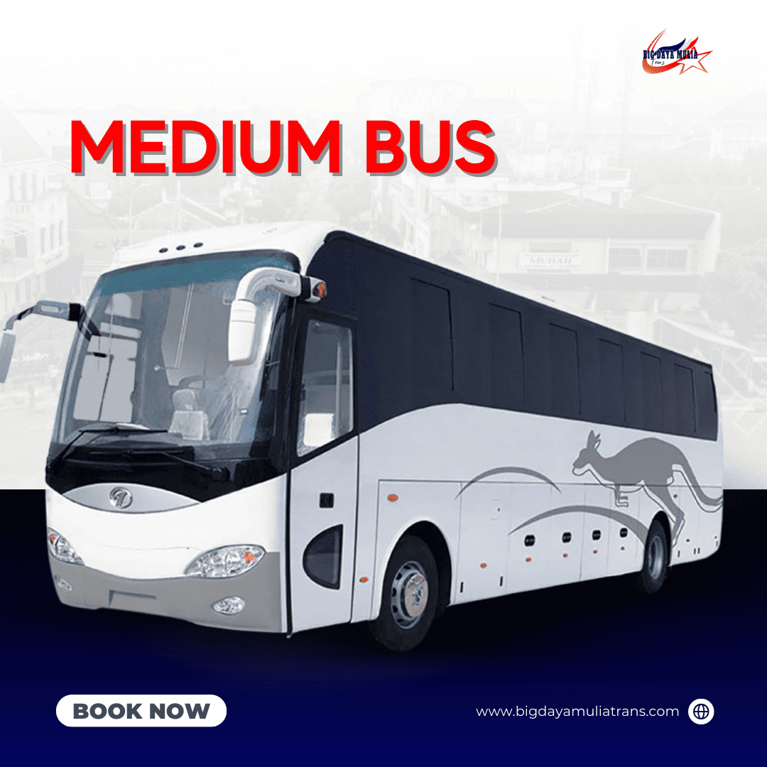 Medium Bus